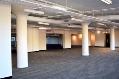 63millerdownstairs_preview-1