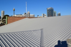 63millerroof_preview-1